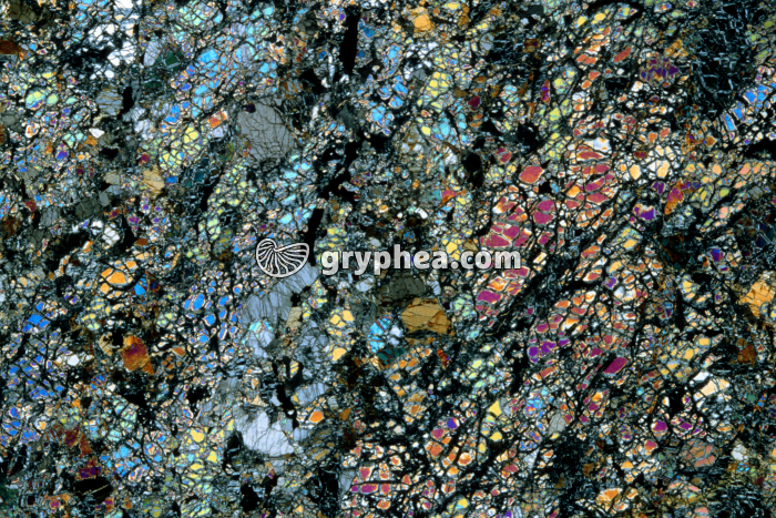 Harzburgite LPA x3,5 - gryphea.com